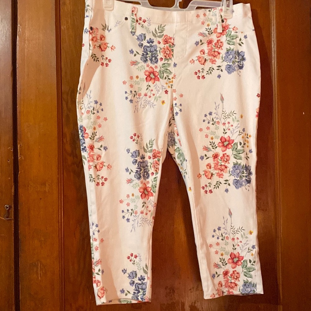 Terra & Sky capris size 1x